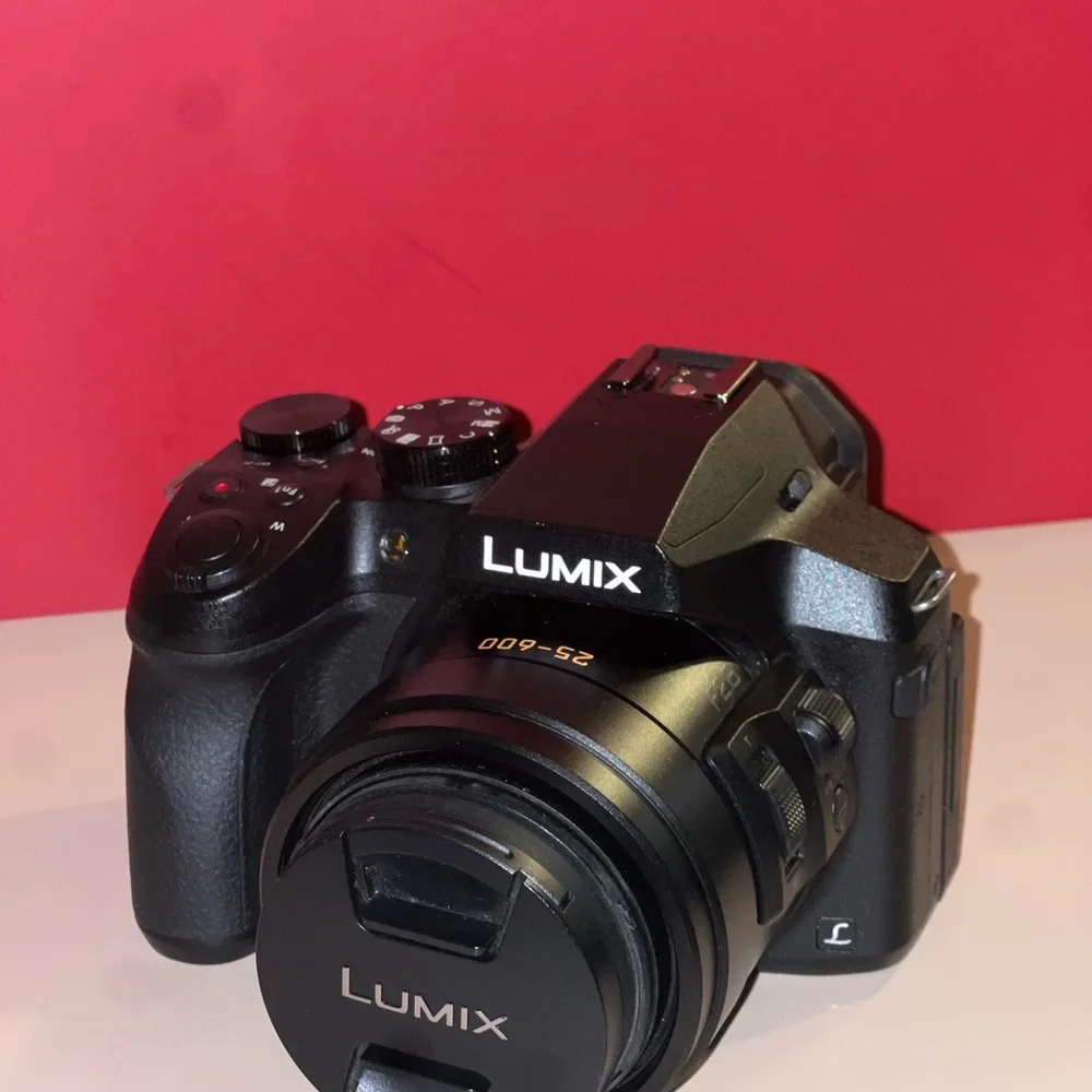 Panasonic LUMIX Sleek Black Camera